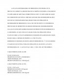 INSTALACION DE SOPLADORES RELEVO