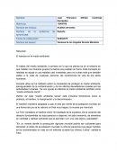 El hambre en el medio ambiente