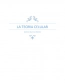 Teoria celular el concepto común