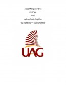 EL HOMBRE Y SU ENTORNO