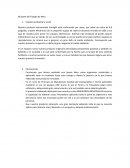 Impacto ambiental y social