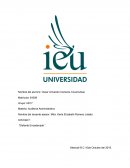 Actividad “Elefante Encadenado “