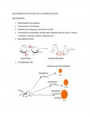 Mecanismo de reaccion de la caramelizacion