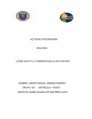 ¿Cómo afecta las temperaturas a las plantas?