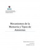 Mecanismos de la Memoria y Tipos de Amnesias