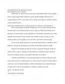 Renacimiento de Walter Disney