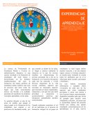 EXPERIENCIAS DE APRENDIZAJE