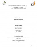 FUNCIONALIDAD DE LA NIIF 16 COLOMBIA Y GUATEMALA PROYECTO