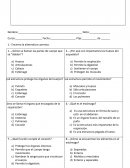 EVALUACIÓN SUMATIVA DE CIENCIAS NATURALES