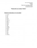 Elaborando una cadena trofica