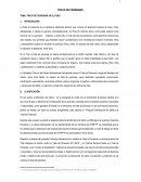 TEMA: TRATA DE PERSONAS EN EL PERU