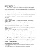 Planificacioners de junio