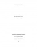 Componetes de la seguridad informática