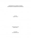 Caso de Empresa TRAP EASE