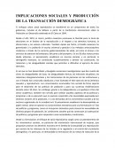 Implicaciones sociales y transacción demográfica