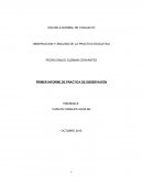 Observación y análisis de la escuela primaria