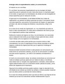 Analogía sobre la especialización celular y la comunicación