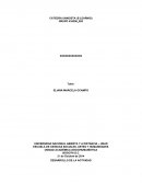 Actividad: Aprendiendo a aprender