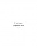 Fundamentos de los sistemas operativos