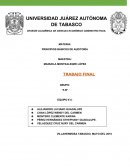 Principios básicos de la Auditoria