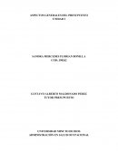 ASPECTOS GENERALES DEL PRESUPUESTO UNIDAD I