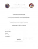 Ensayo sobre Relaciones Internacionales