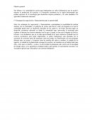 Emprendedores - implementar un cultivo hidroponico