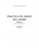 PRACTICA VII: GRUPO DEL CROMO QUÍMICA I