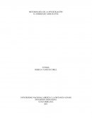 PROBLEMAS Y RIESGOS EN EL EMBARAZO ADOLESCENTE