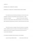 REVISIÓN DE LA LITERATURA Y CONSTRUCCIÓN DEL MARCO TEÓRICO