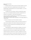 Bebidas tradicionales de México