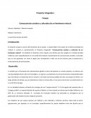 Consecuencias sociales y culturales de un fenómeno natural