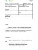 Bases de infraestructura técnica y protección de archivos de informacion