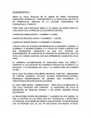 Evaluacion diagnostica preescolar EL JARDIN DE NIÑOS “NATIVIDAD HERNANDEZ DOMINGUEZ”
