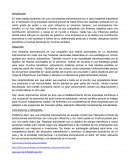 Actores internacionales. Empresa transnacional