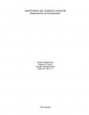 Resumen Caso de empresa 6: Darden Restaurants