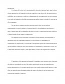 Proceso de selección de empleados