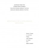 IMPORTANCIA DE LA INTELIGENCIA EMOCIONAL