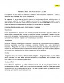 RESBALONES, TROPEZONES Y CAÍDAS