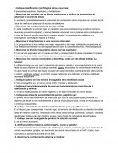 Cuestionario de neuronas