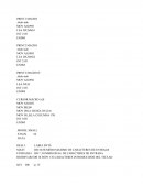 Curp Ensamblador TASM