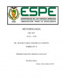 Competencia en el manejo de la información empleando el Modelo Gavilán