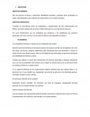 Desarollo de habilidades culturales