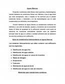 Informe Aguas Blancas