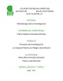 La Vaquita Marina en Peligro de Extinción