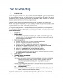 Plan resumen de marketing