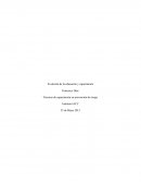 Tecnicas capacitacion en prevencion de riesgo