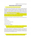 Motocicletas Harley-Davidson