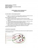 MÁQUINAS DE FLUJO GIRATORIO