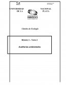 Las auditorias ambientales